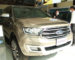 2019 Ford Everest Titanium